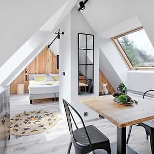 Apartment Attic